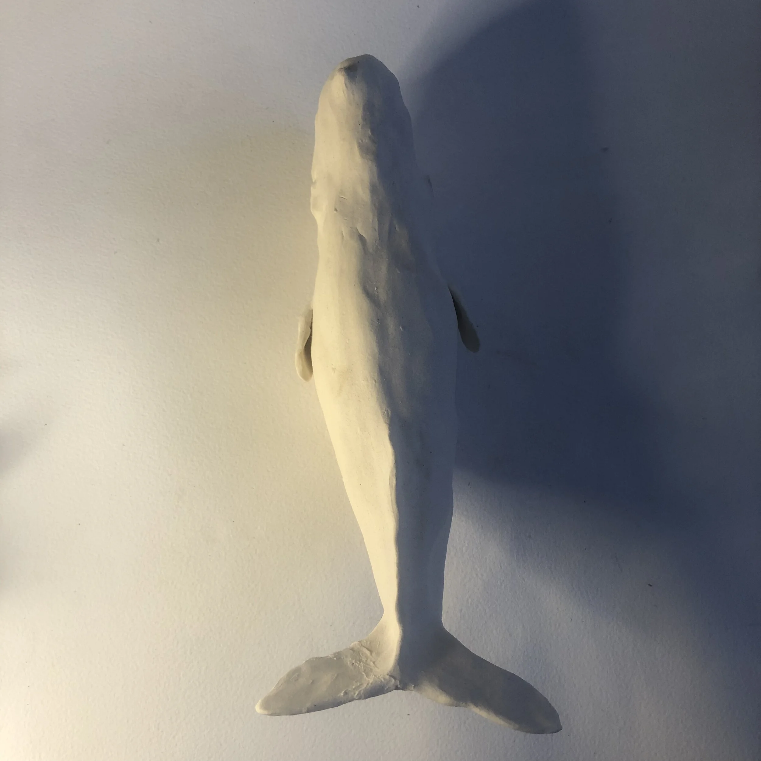 C15319C8-72F3-4B04-8BB6-7C10145A39A1