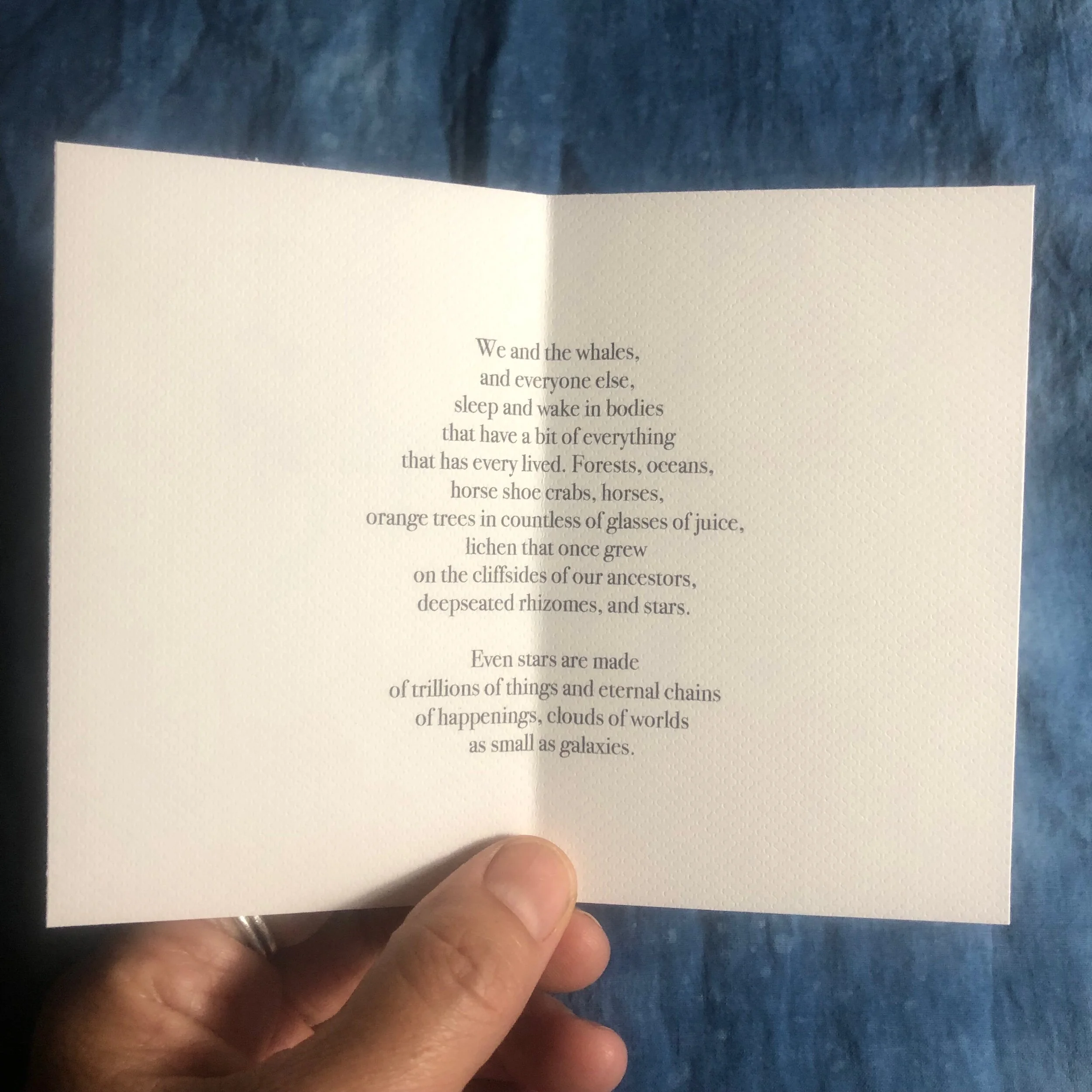 C2D4C4A7-4A89-4524-81E3-D25DD8456D82