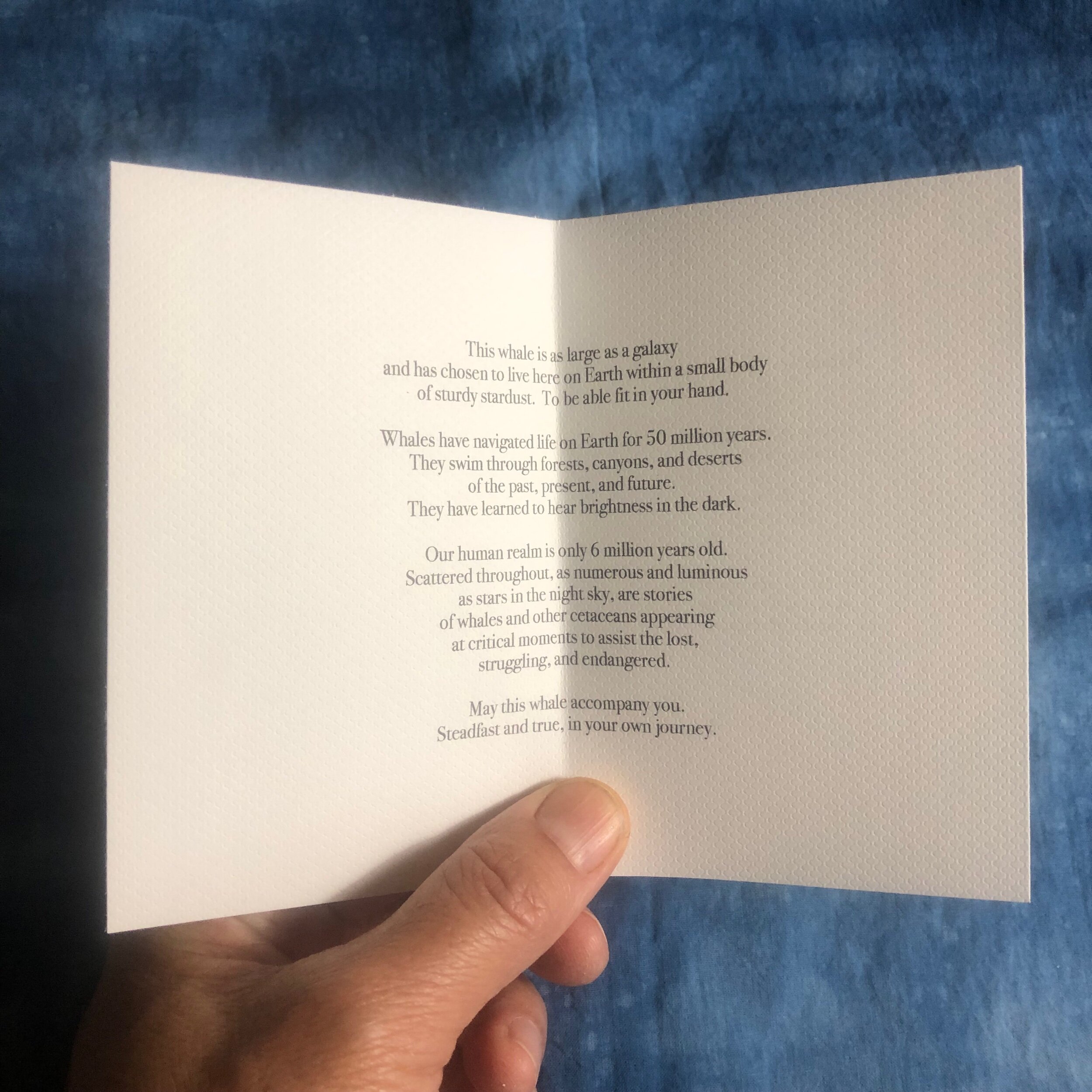 715A2D8A-7C42-4C9C-8EB5-5DE3326CBF9C