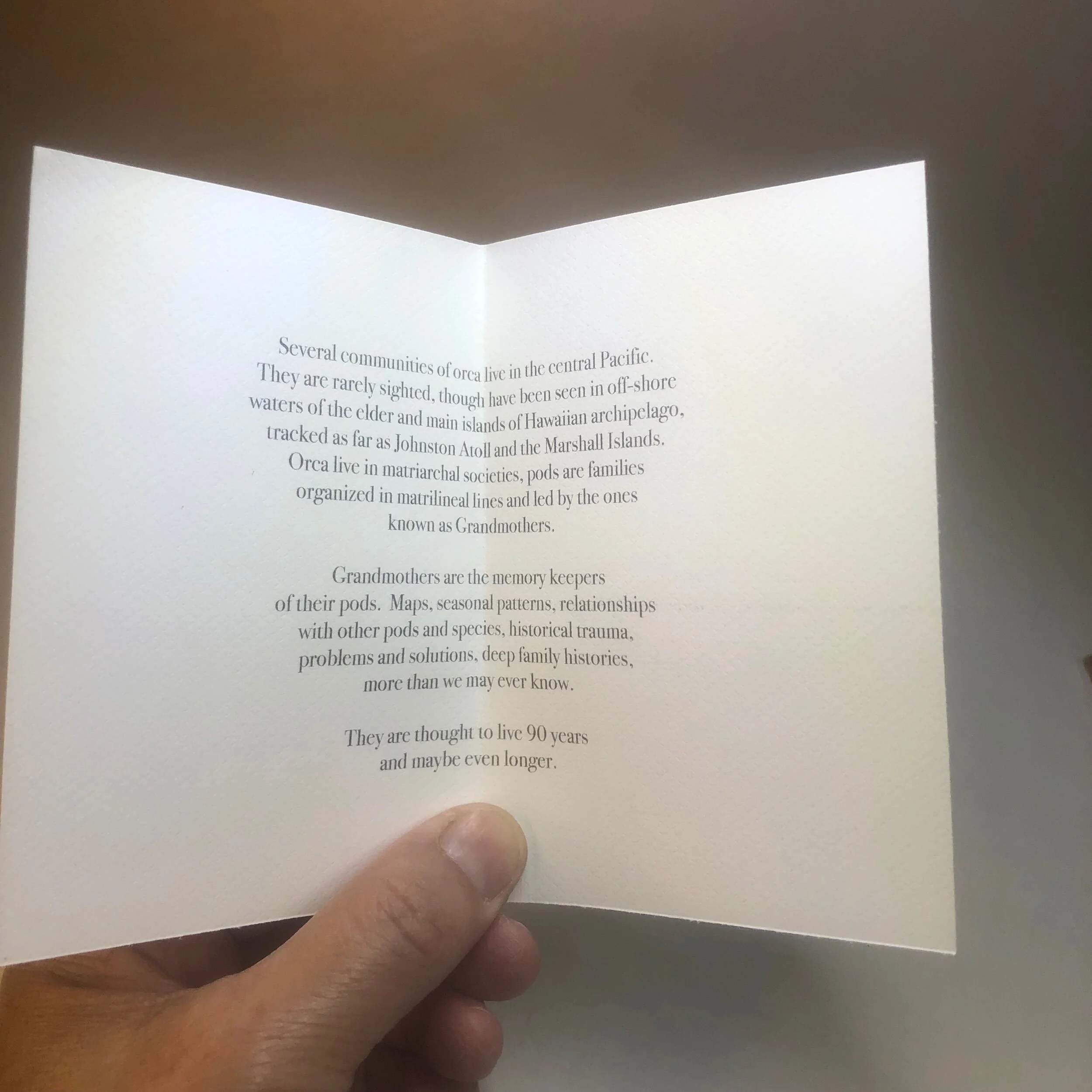 BF0F9A20-11DB-48E7-AF3B-E55C15CC8F6B