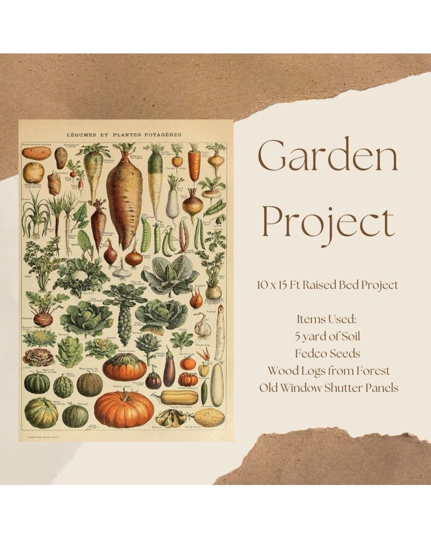 🥦 🥒Garden Project Reveal 🥕 🥬 

This was a very fun project for me and one I&rsquo;m pretty damn proud of. I am very much a non expert when it comes to gardening but I think it&rsquo;s important to at least experiment and see how something you wan