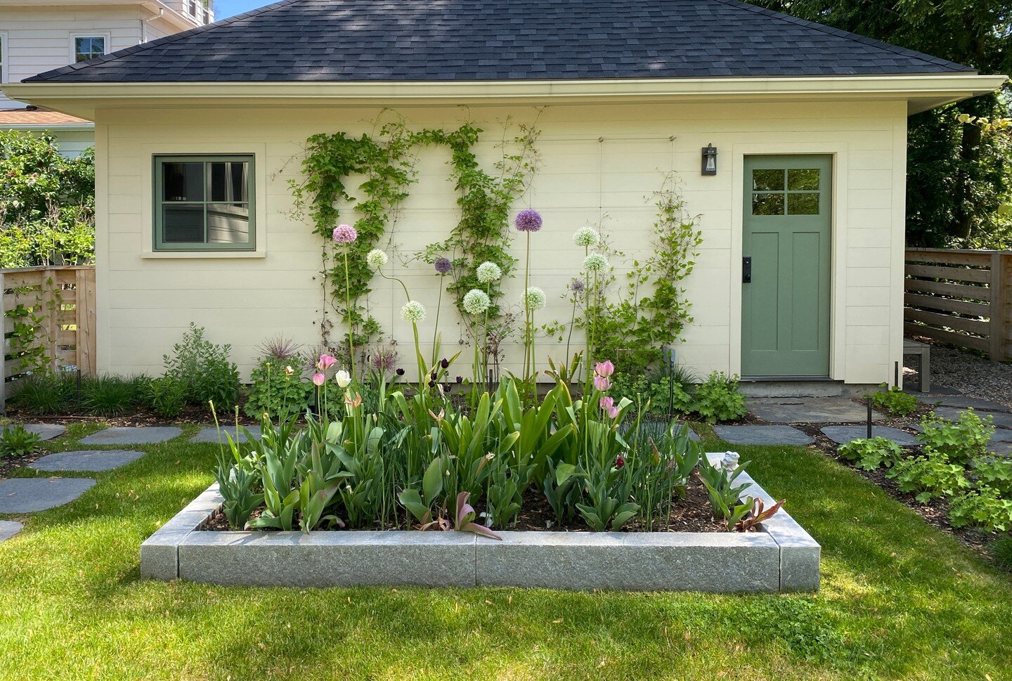 It's allium season! Allium are a late spring/early summer blooming bulb that come in a delightful array of sizes and textures. 

#landscapearchitecture #backyardgarden #springflowers #allium