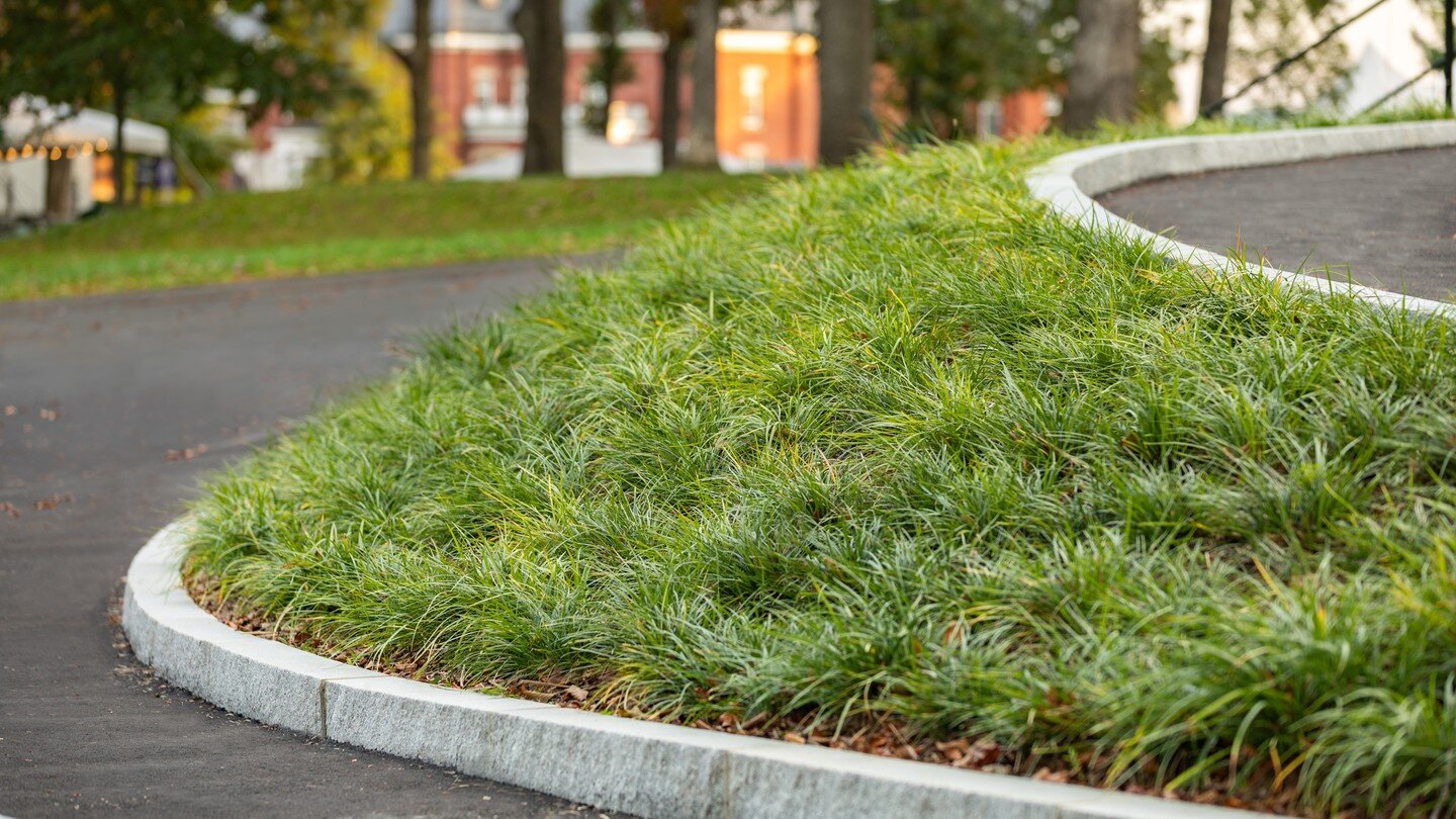 ADA improvements to this historic college campus are elegant and appropriate, while appearing deceptively simple! 
A team effort took place behind the scenes, from grading and careful detailing to quality craftsmanship and installation of this ramp.