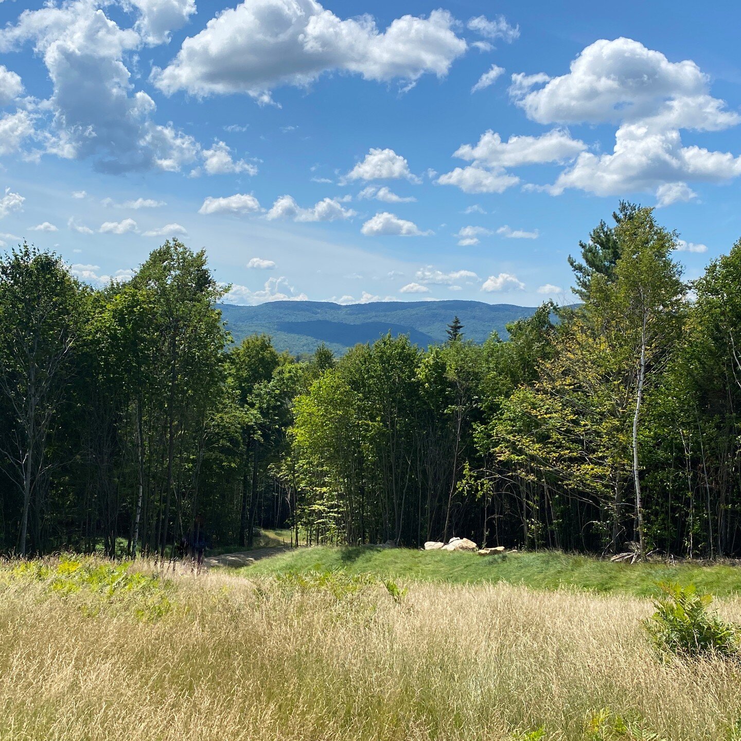 Excited to begin a new project in the Granite State with @bosurbanarchitecture! The view from the site is incredible: drawing from this context for our design will be challenging and rewarding.