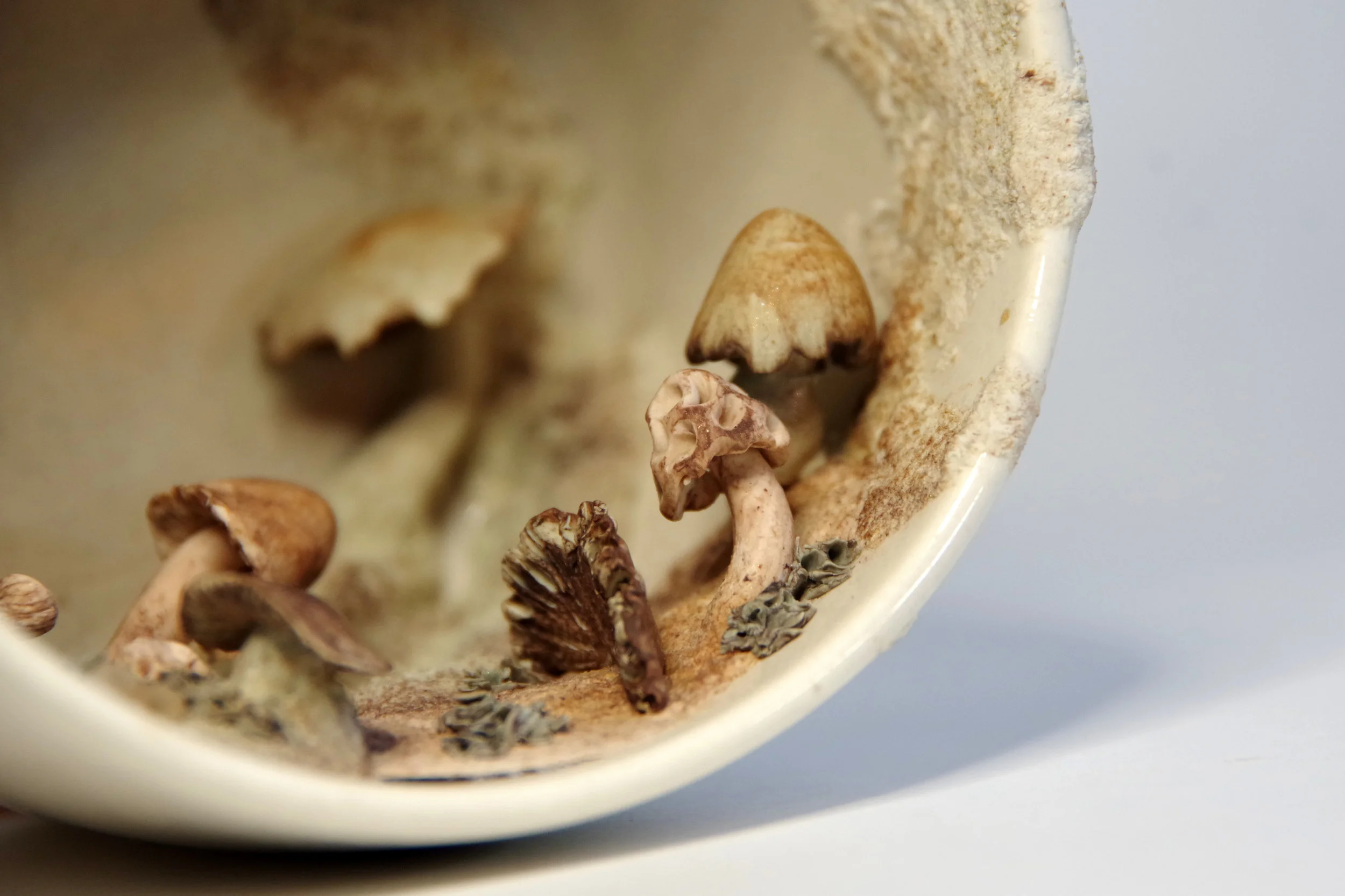 I sculpted several types of mushrooms for the scene in this upcycled coffee cup.
