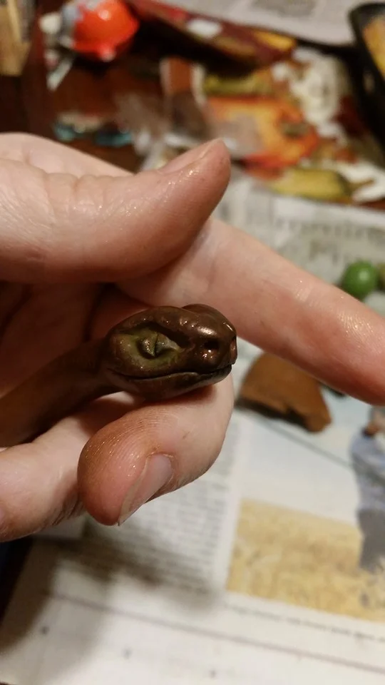Snake 1 in progress.jpg