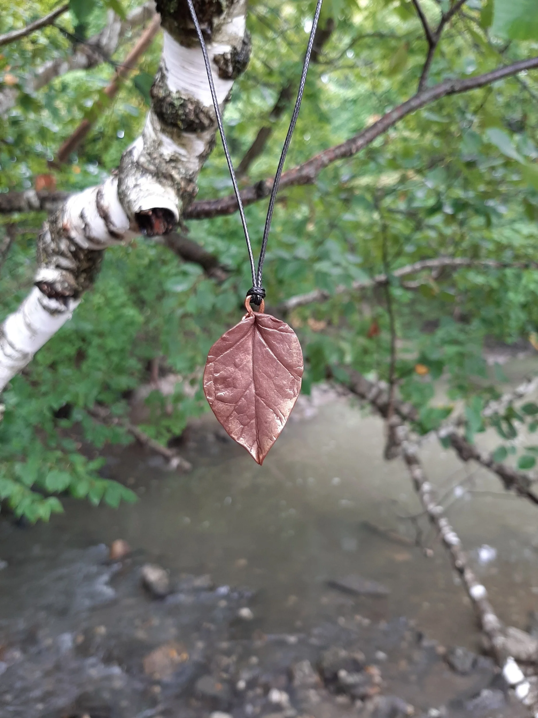 Leaf impression, Petrifying Springs, Kenosha FOUND