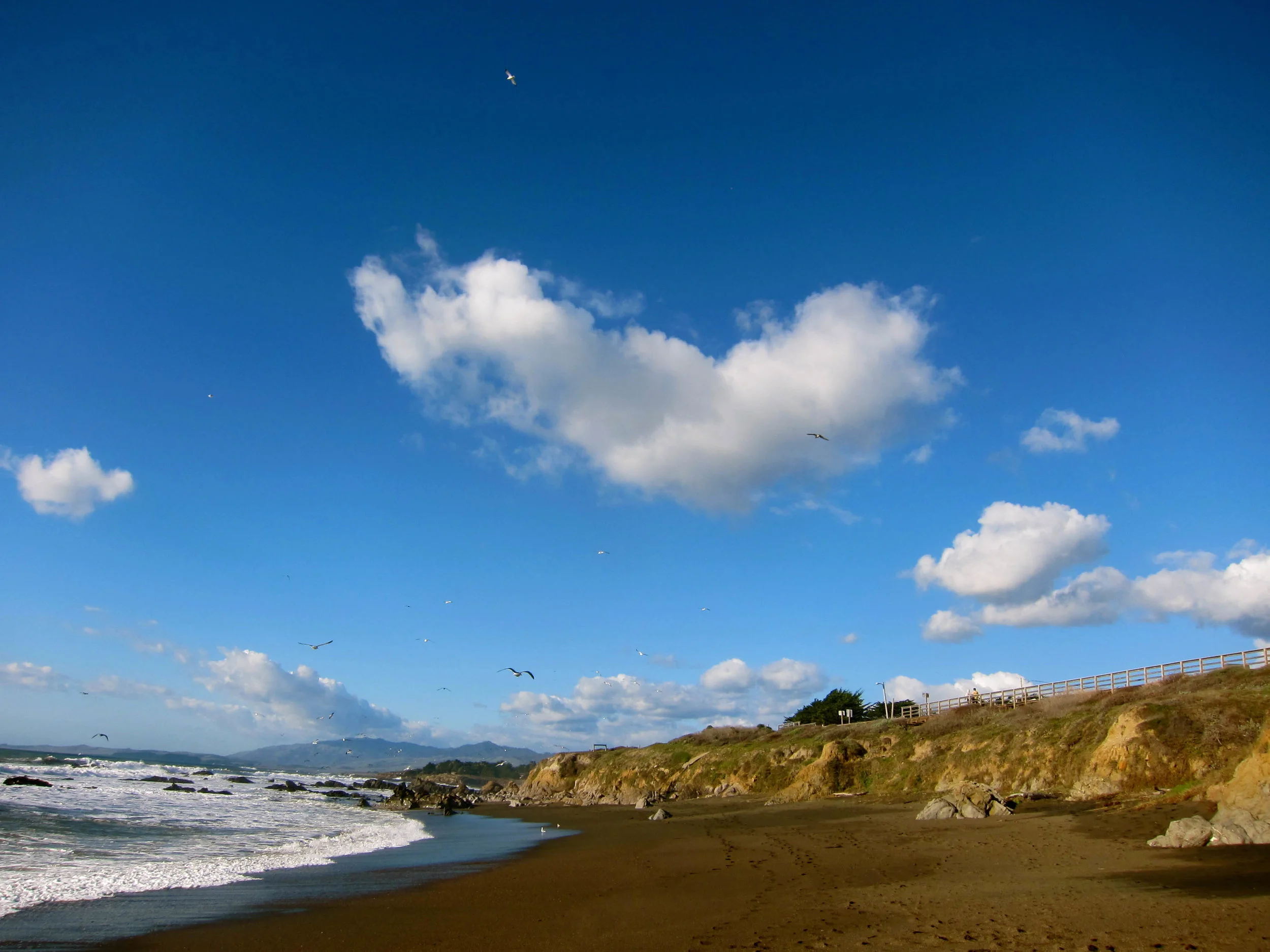 IMG_9985 edited_.jpg