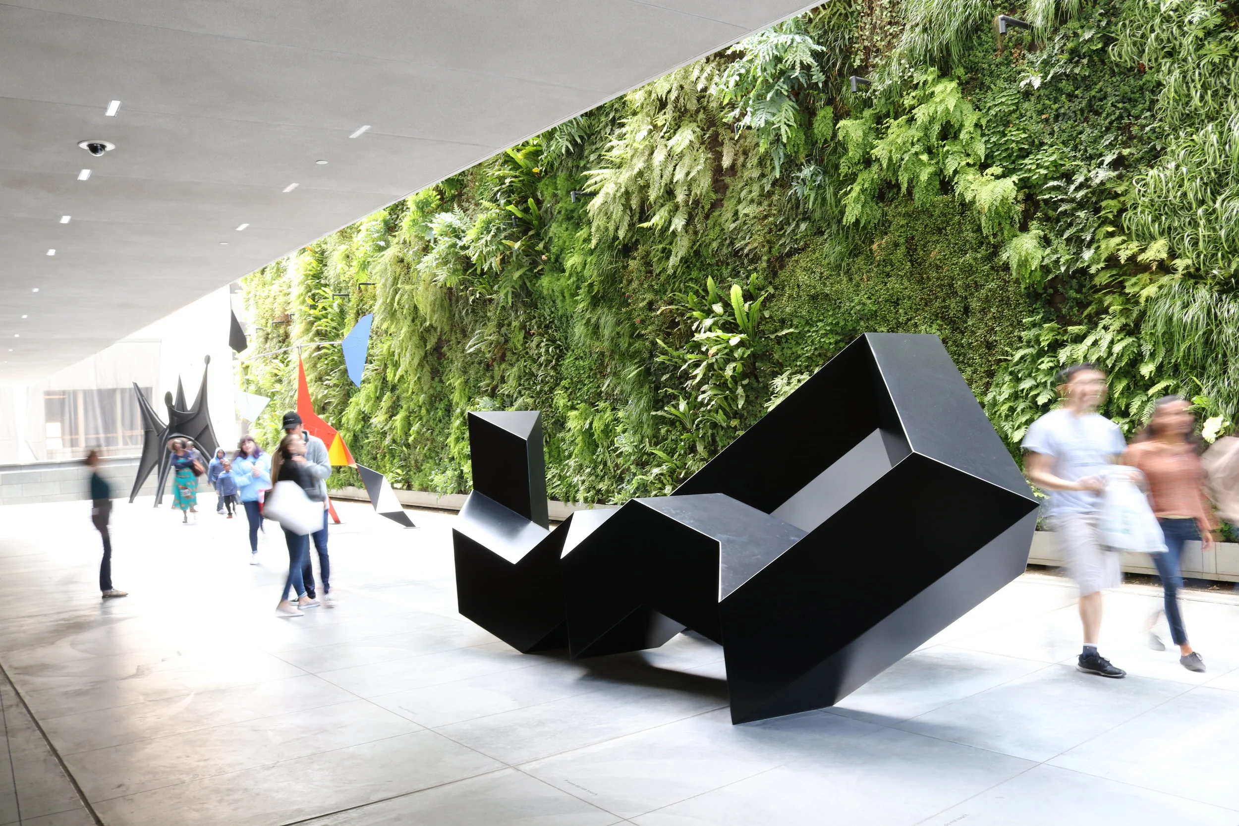  Hyphae collaborated with Snohetta and Habitat Horticulture to design an self-sustaining living wall, displayed as the largest piece of art in the renovated SFMOMA. 