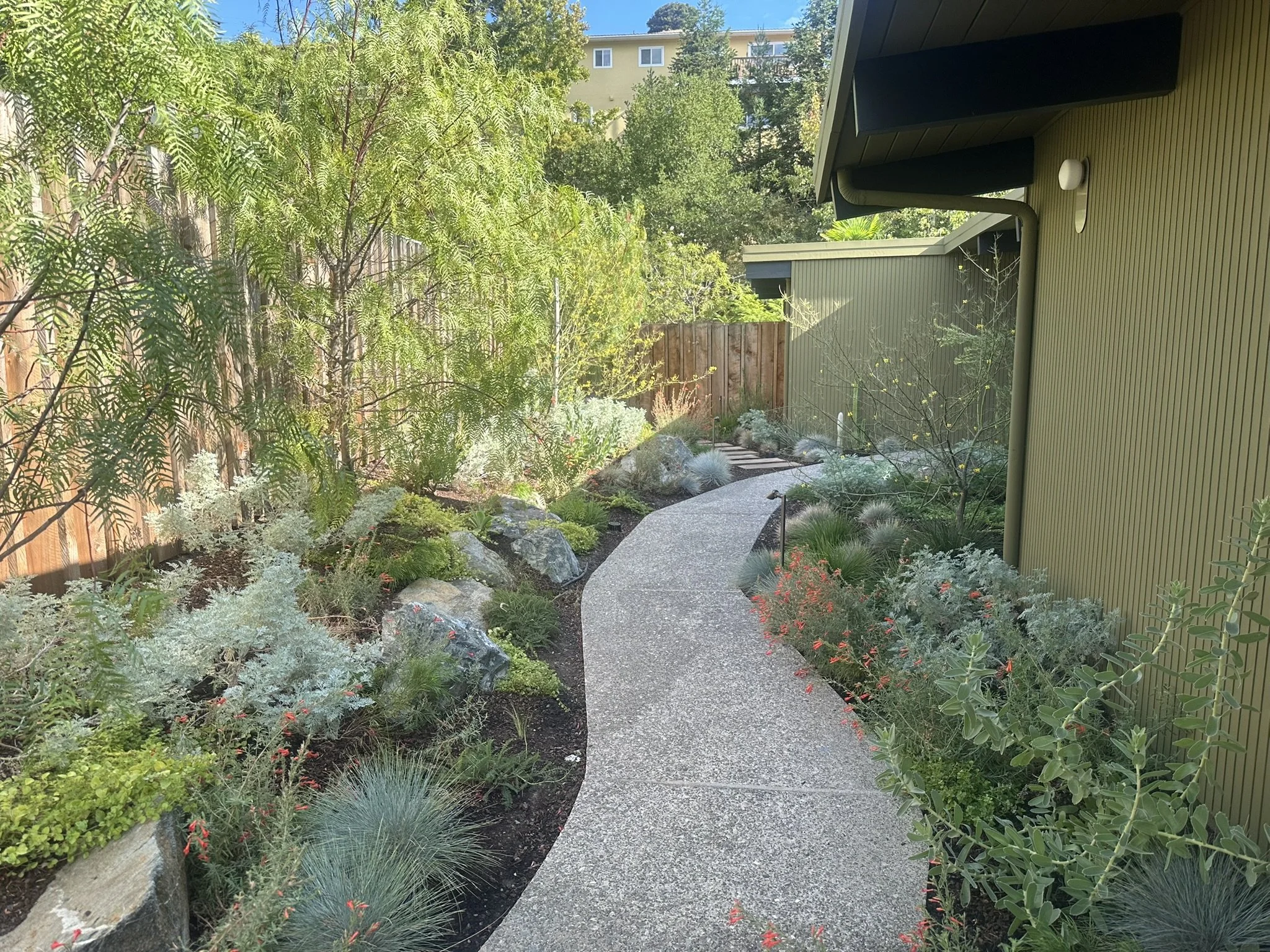 Copy of IMG_8129.JPEG