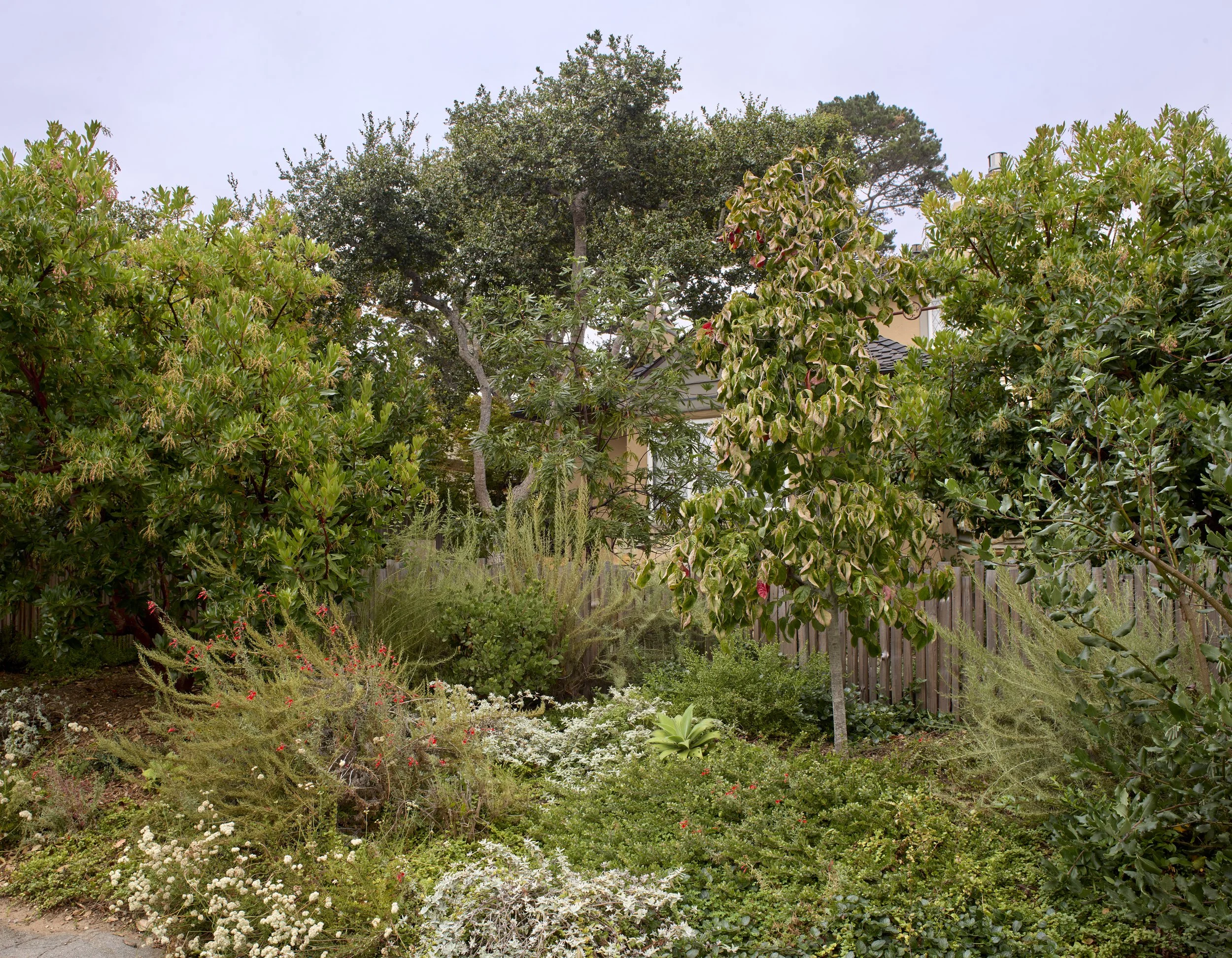 2b. carmel2509-057(Marion).jpg
