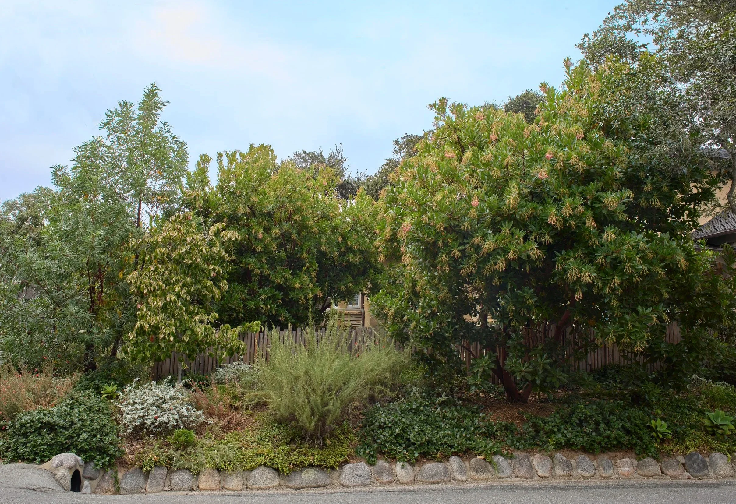carmel2509-033_1%28Marion%29.jpg