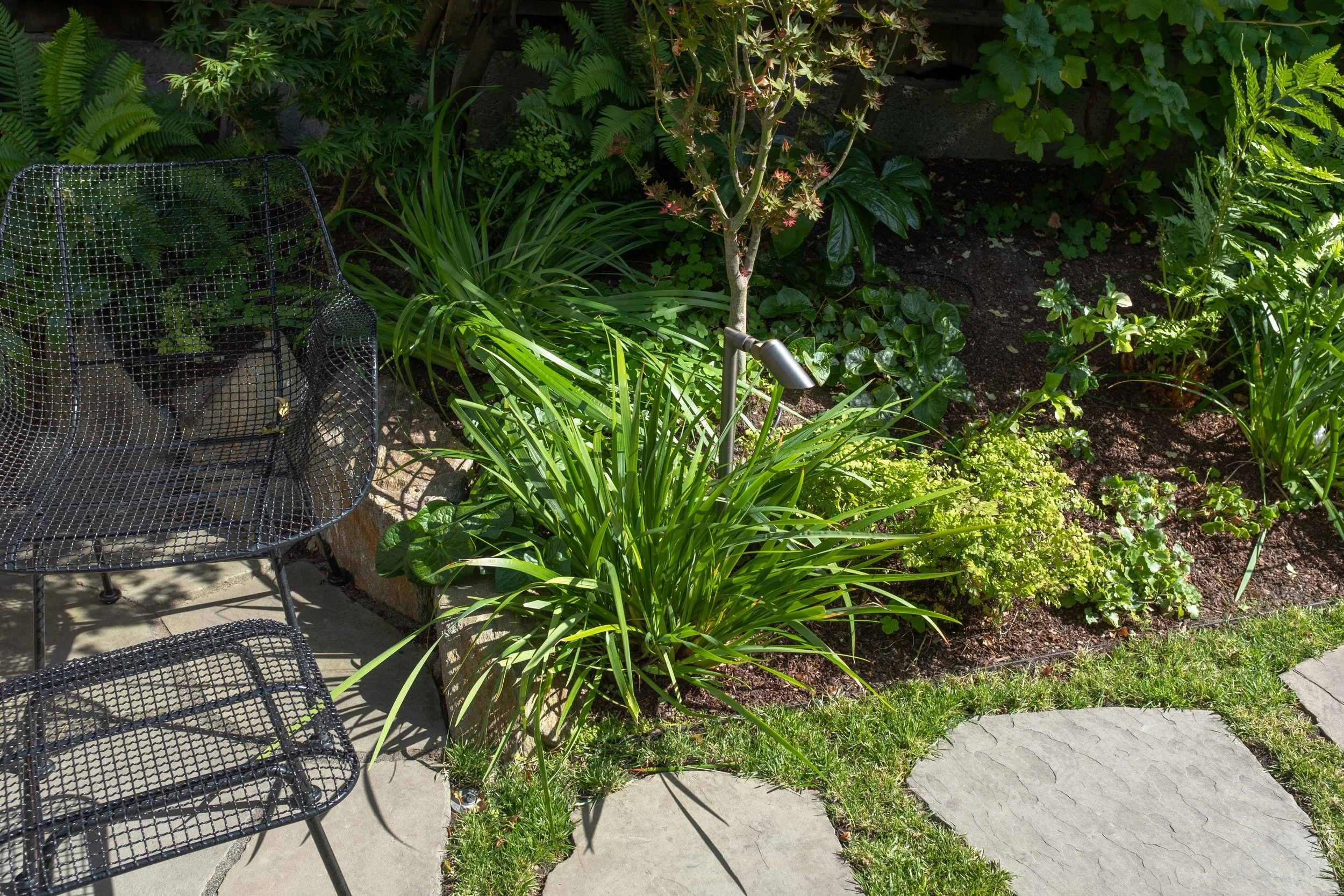 DSCF0207.jpg
