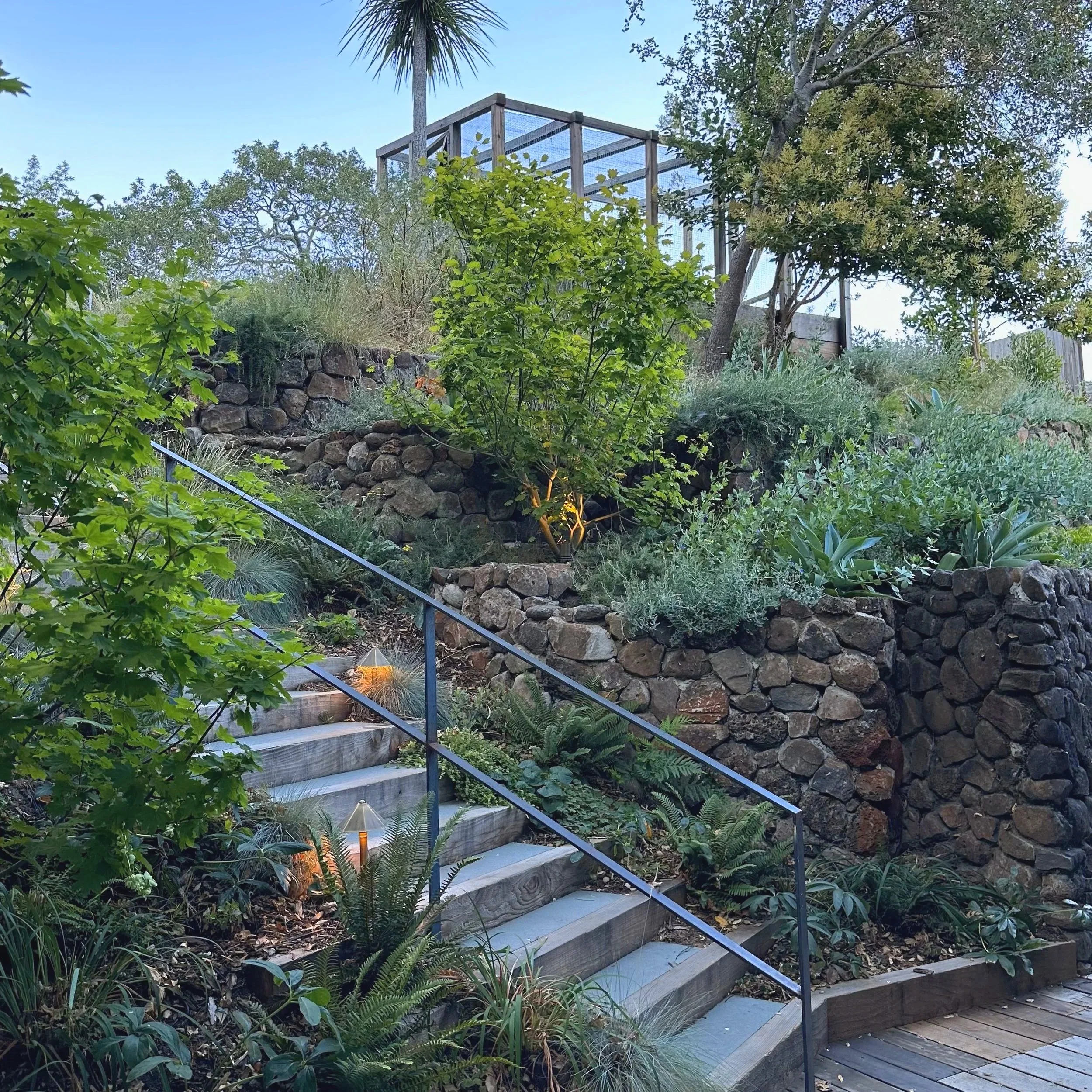 San Anselmo website cover.jpg