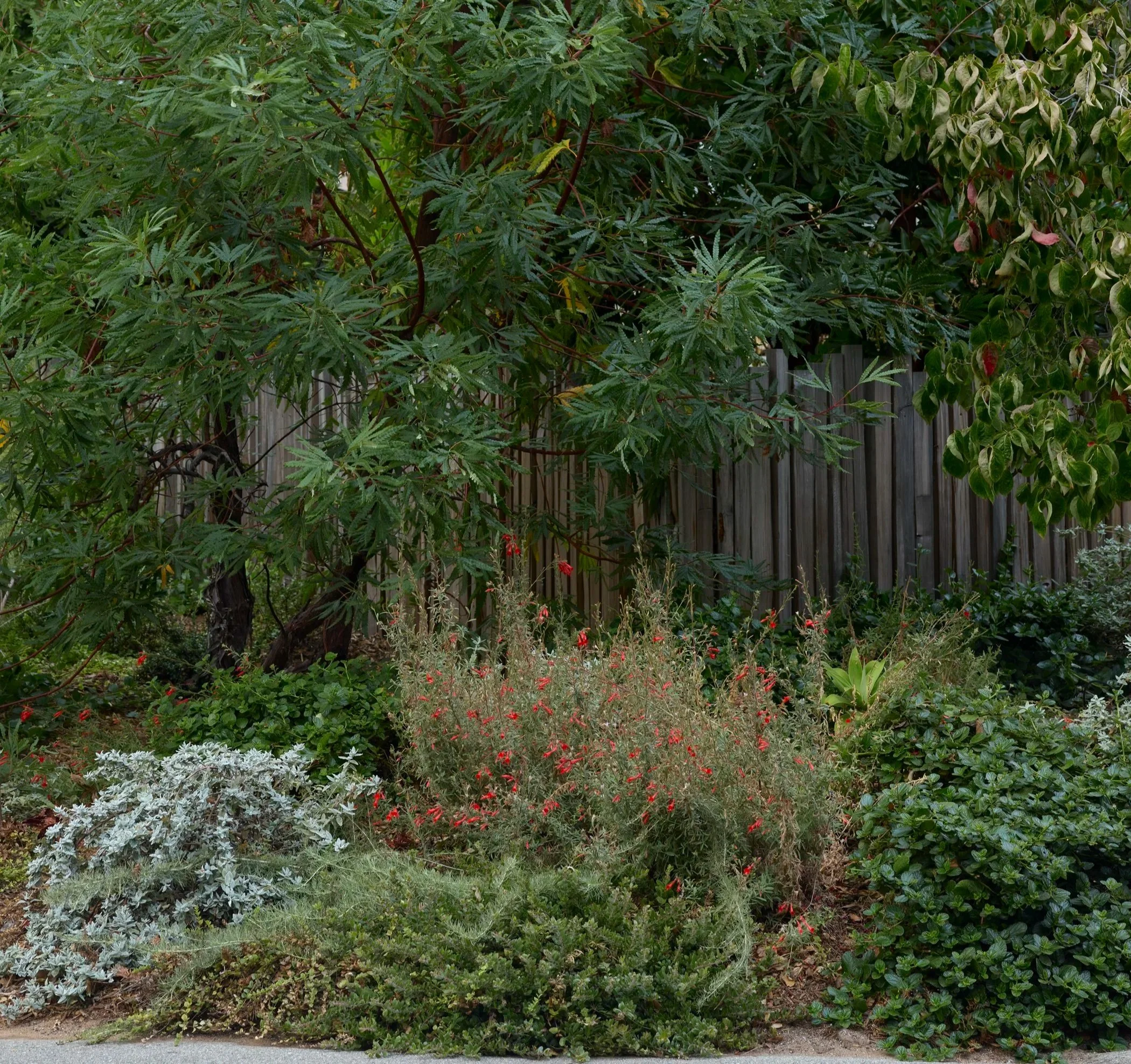 2a. carmel2509-041(Marion).jpg