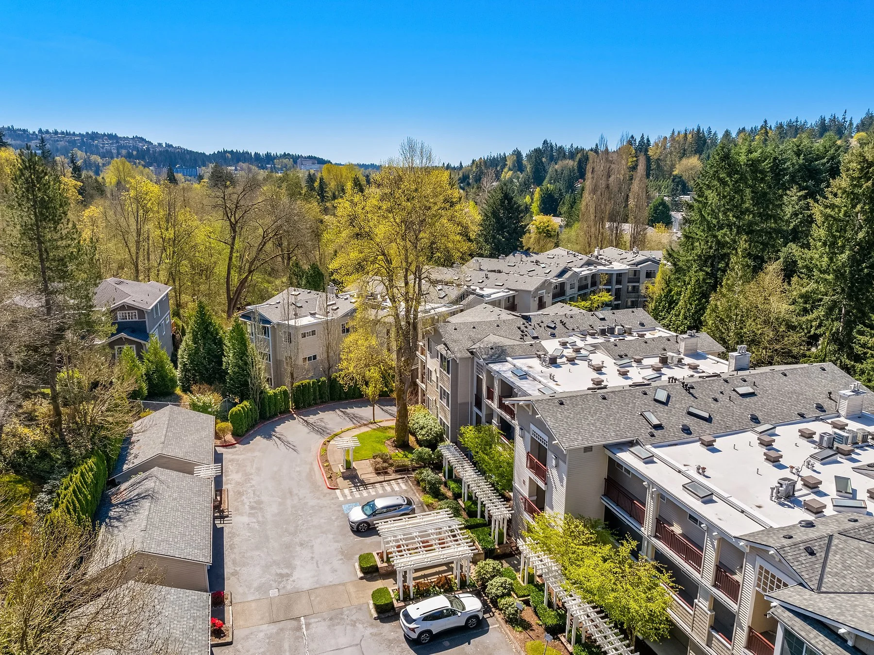 Web_02.jpg