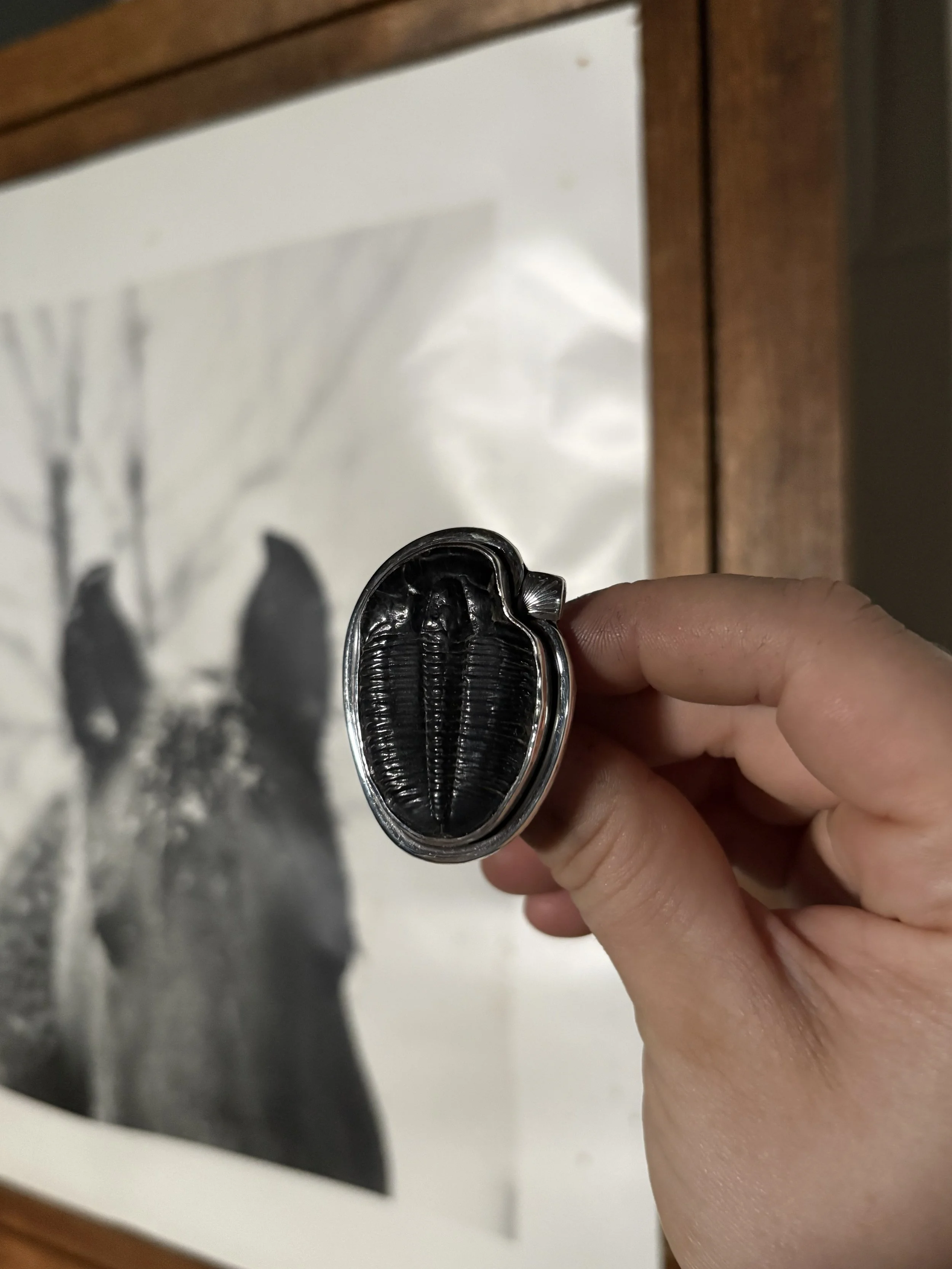 Trilobite