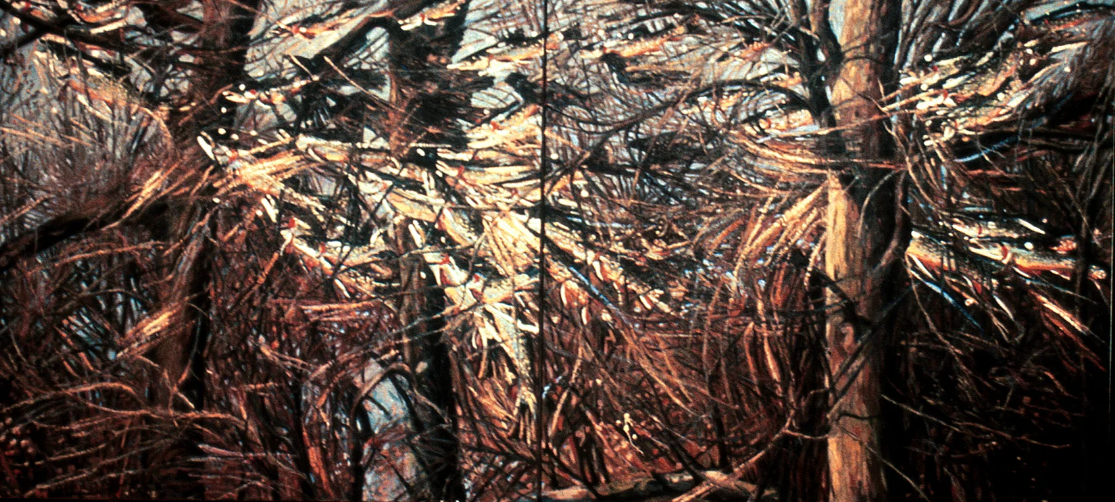 trout thru trees.jpg