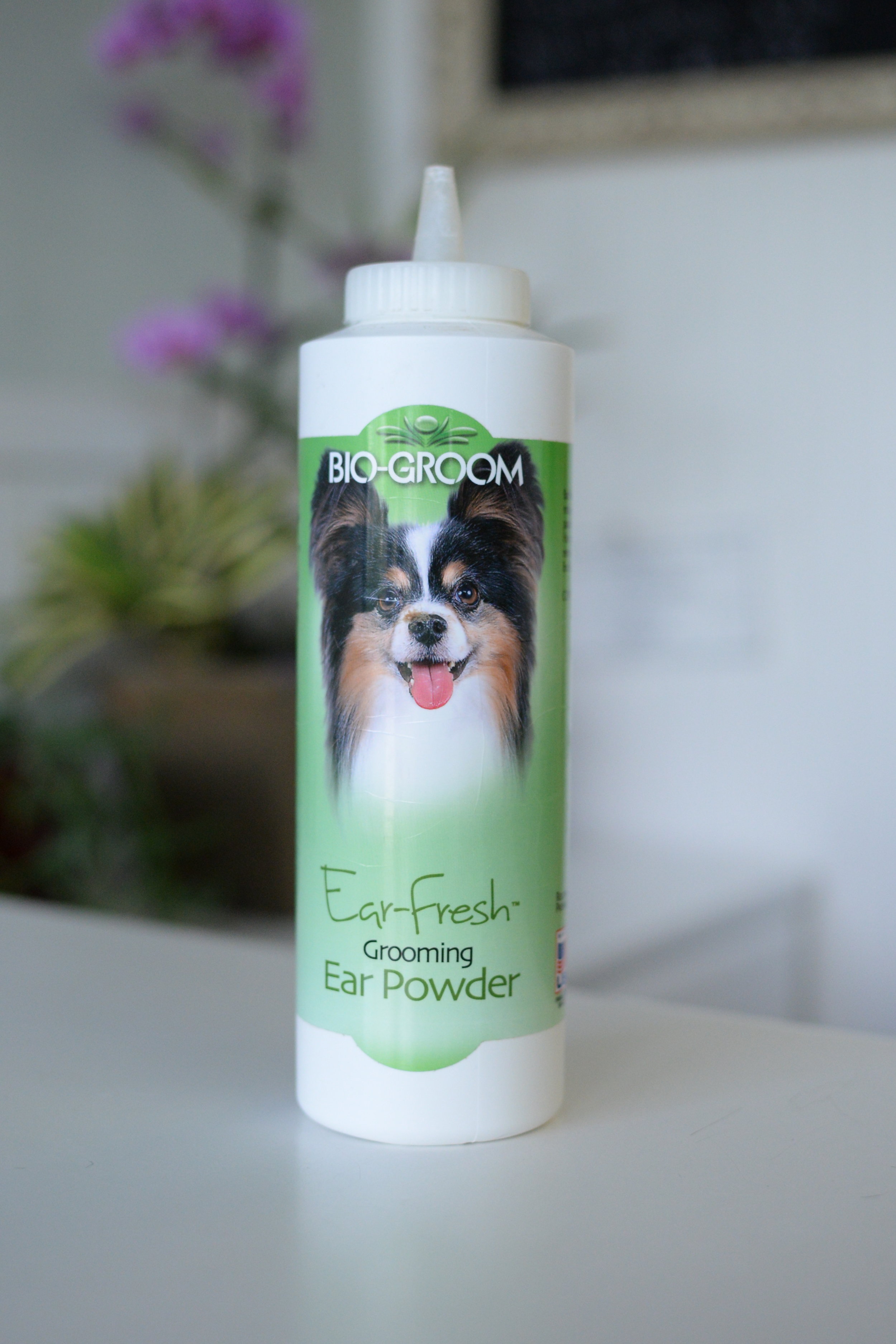 "Ear-Fresh" Ear Powder (Copy)