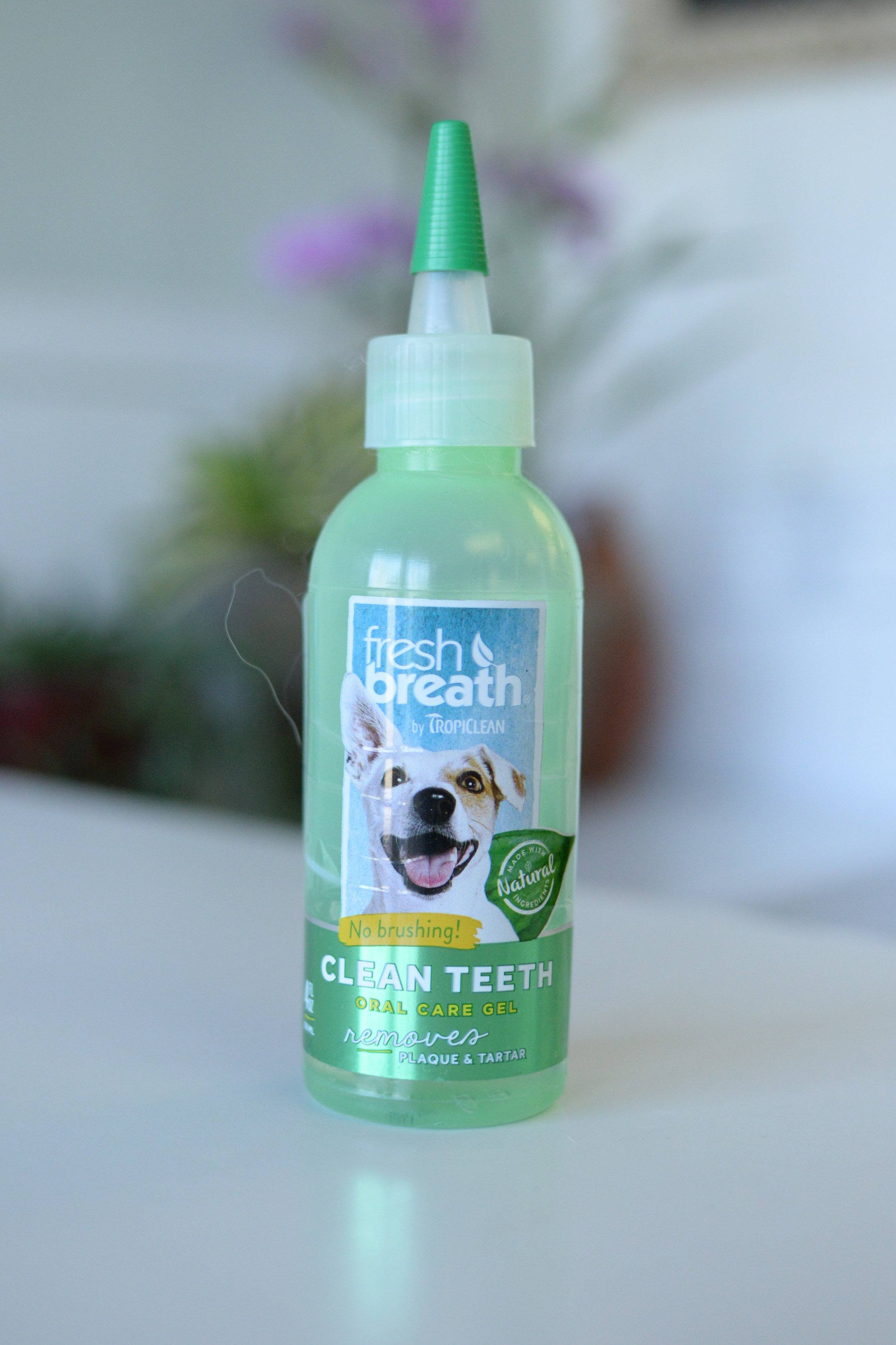 "Fresh Breath" Oral Care Gel (Copy)