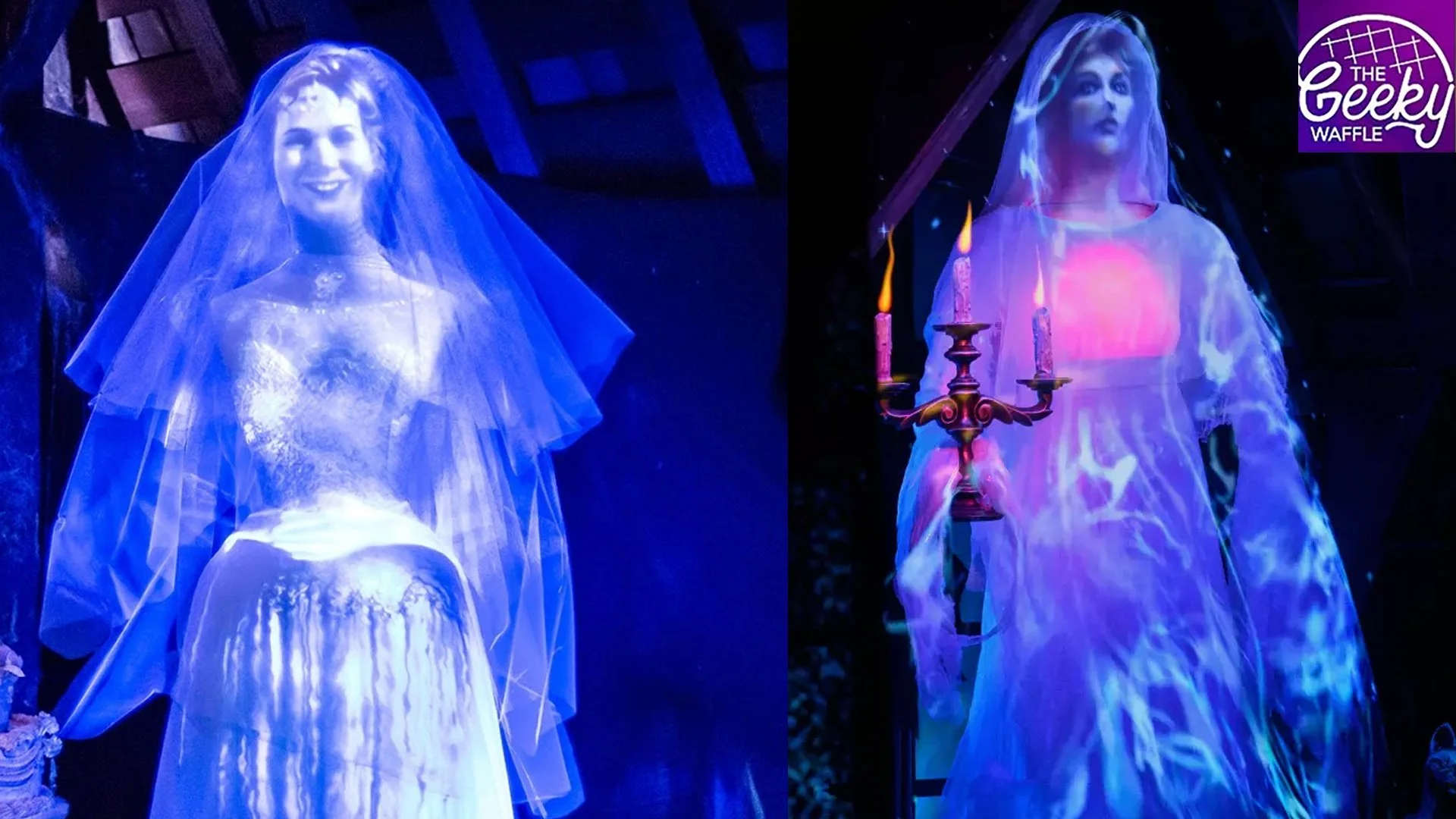 Video: Disney display picture 1