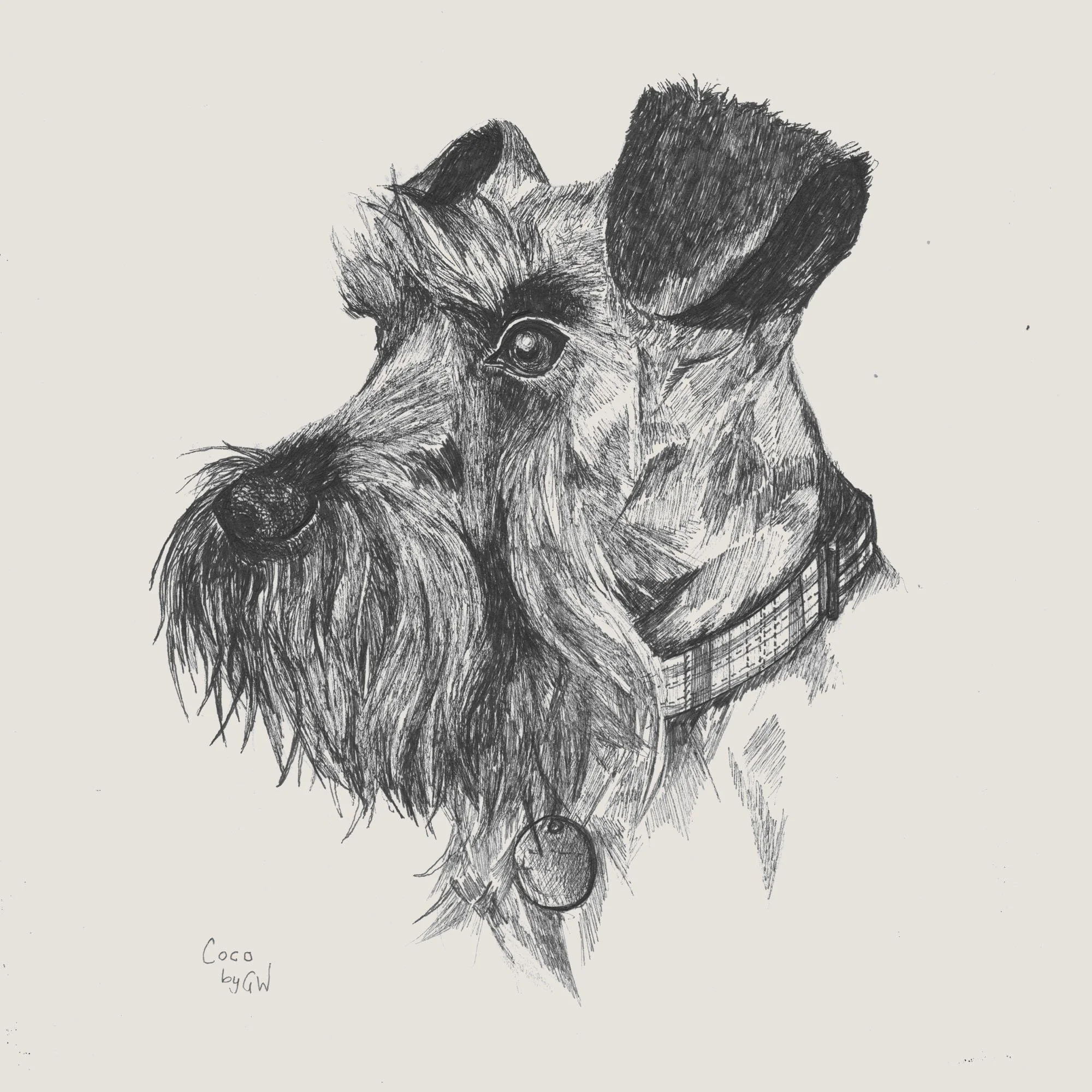 Untitled-1Artboard 1_7.jpg