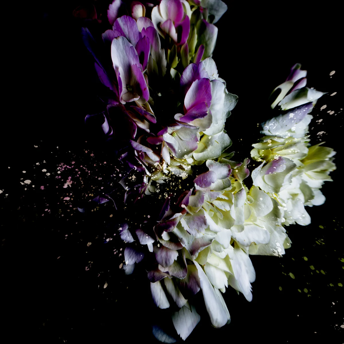 KMcFarland--7.jpg