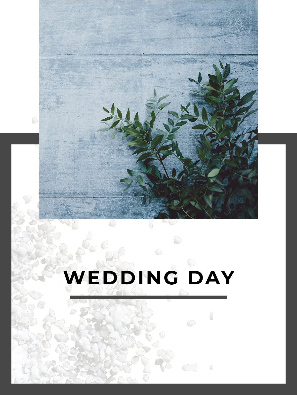 weddingday.jpg