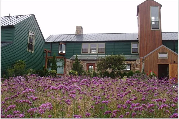 0000M_PhotoVerbena House.jpg