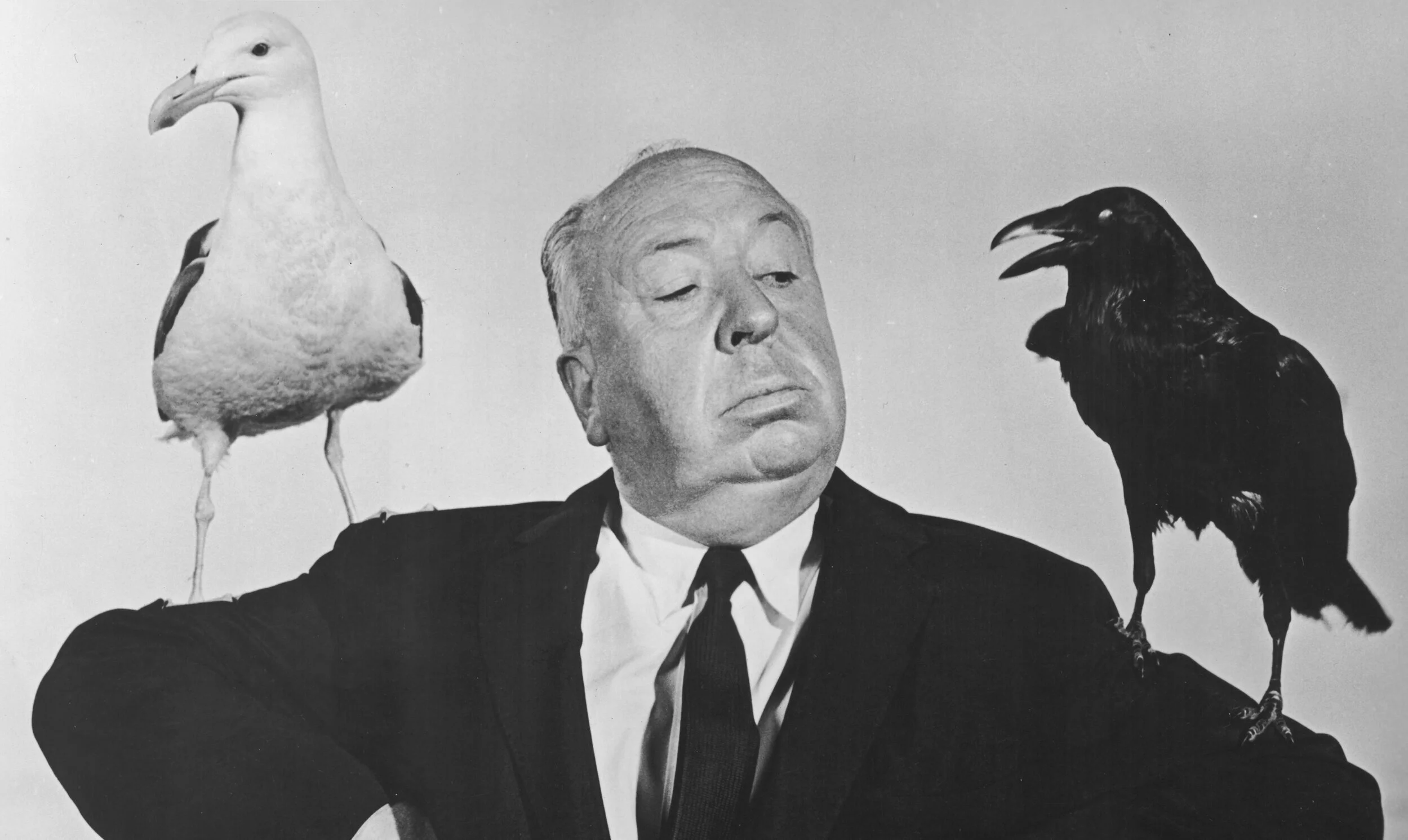 It's Clear as Glass: GW Cares About Birds