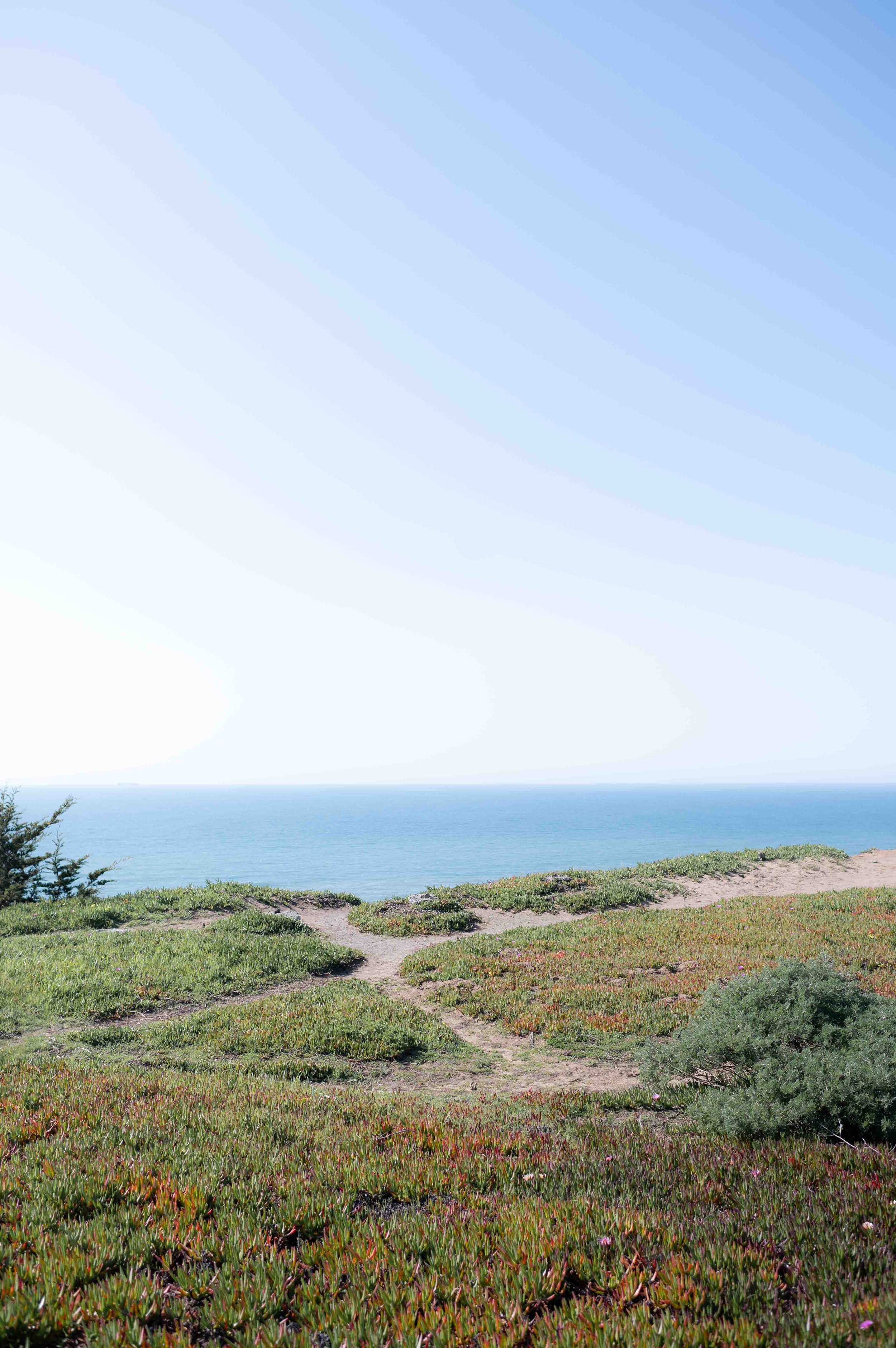 DSC_9536.jpg