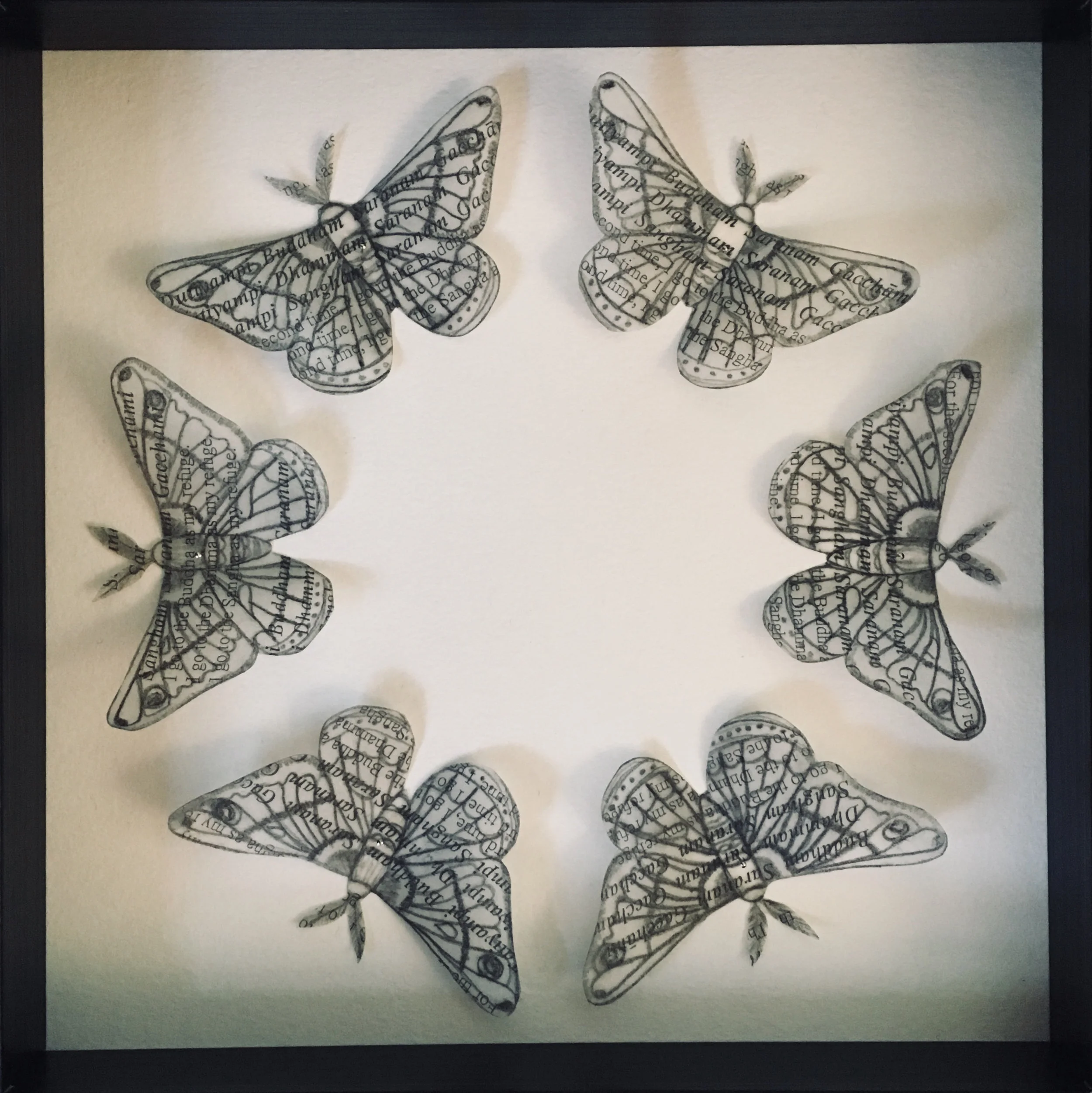 “Ceanothus Silk Moth & Ti Sarana Chant”