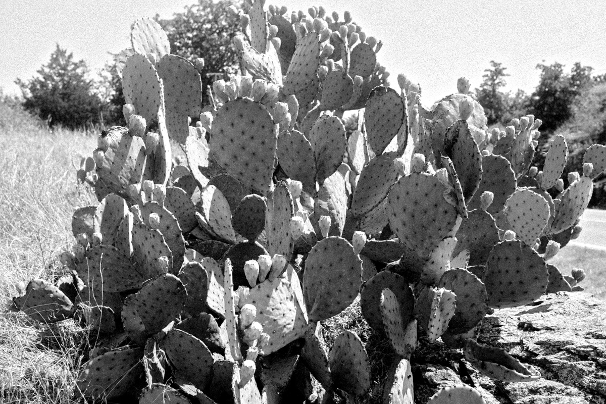bw9.jpg
