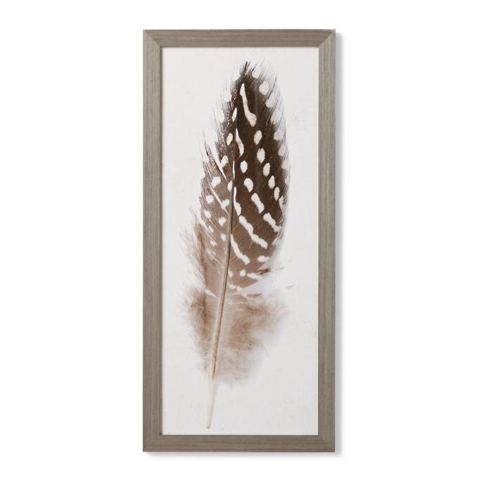 Guinea Hen Feather Giclee Print I