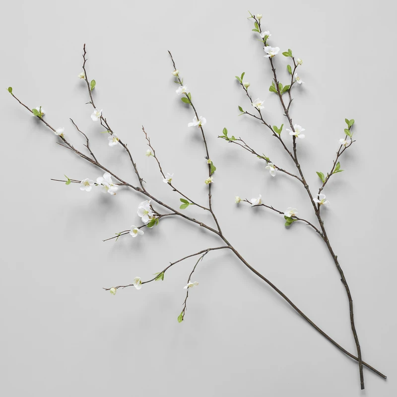 White Quince Branch 