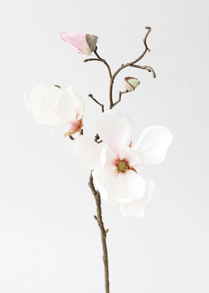 Silk Magnolia Branch