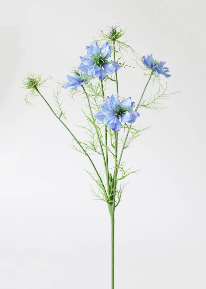 BLUE FLOWER STEM