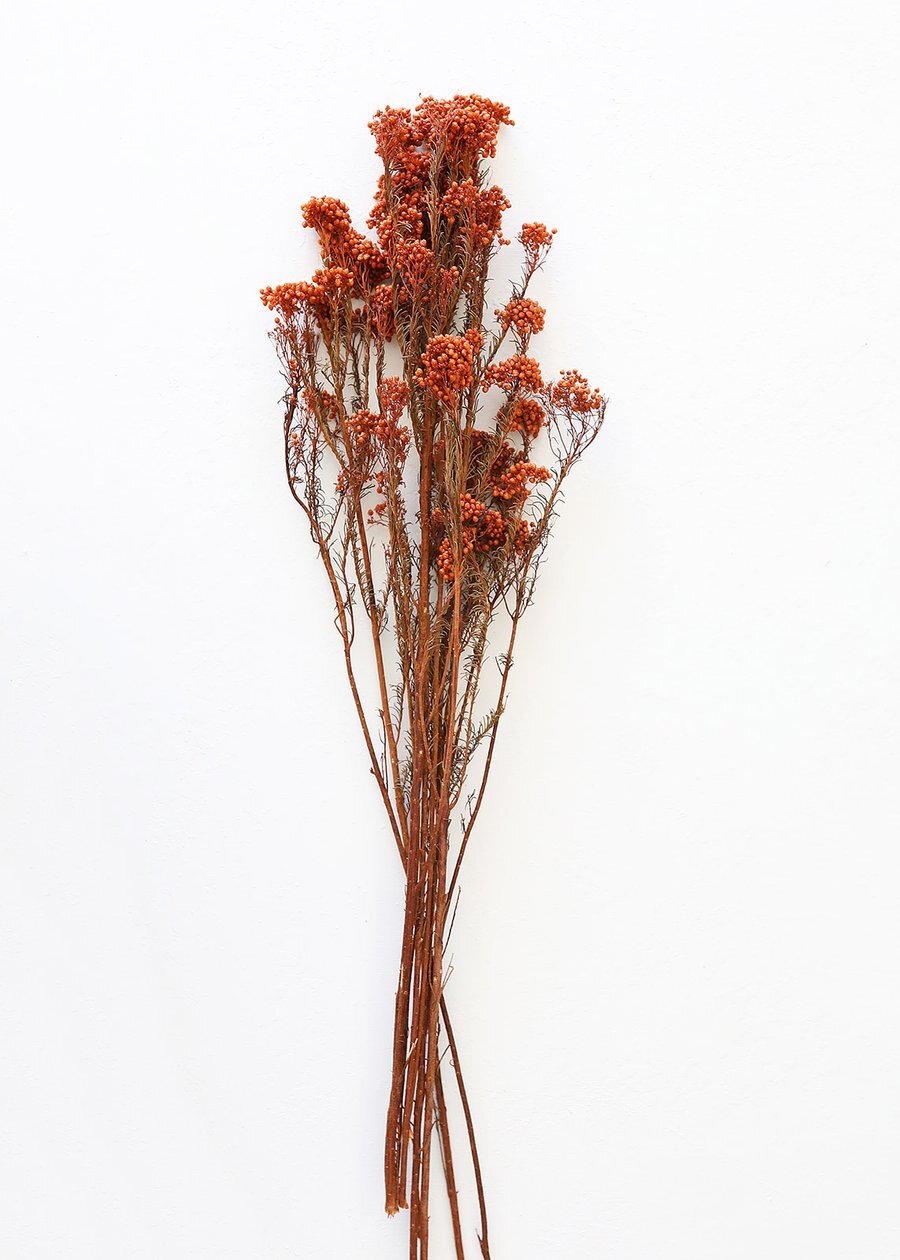 YFP-RFLOWER-TC-Terracotta-Rice-Flowers_900x.progressive.jpg