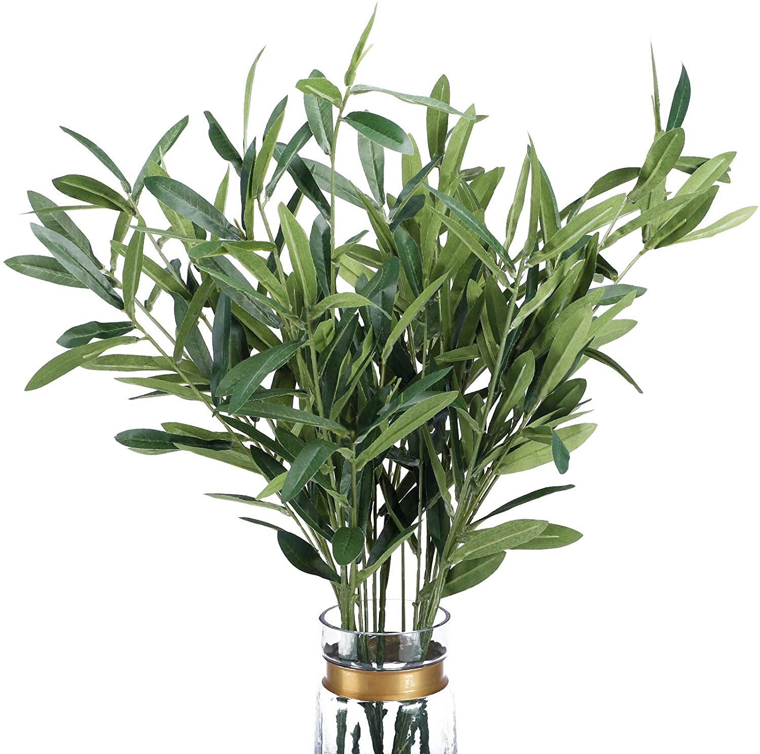 Olive Leaf Stems