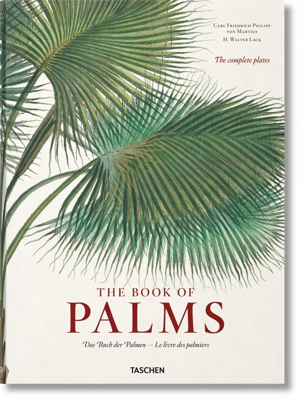 The Book of Palms