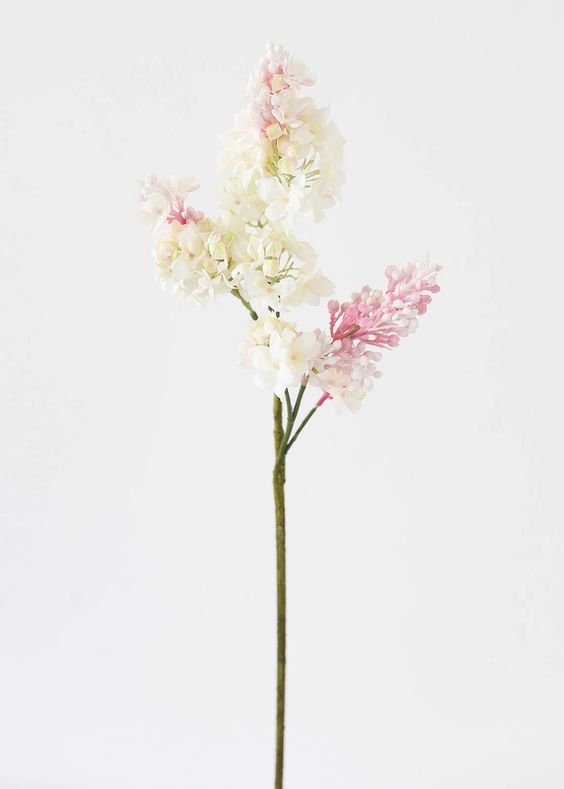 Top Picks For Dried & Faux Spring Florals — LIVEN DESIGN