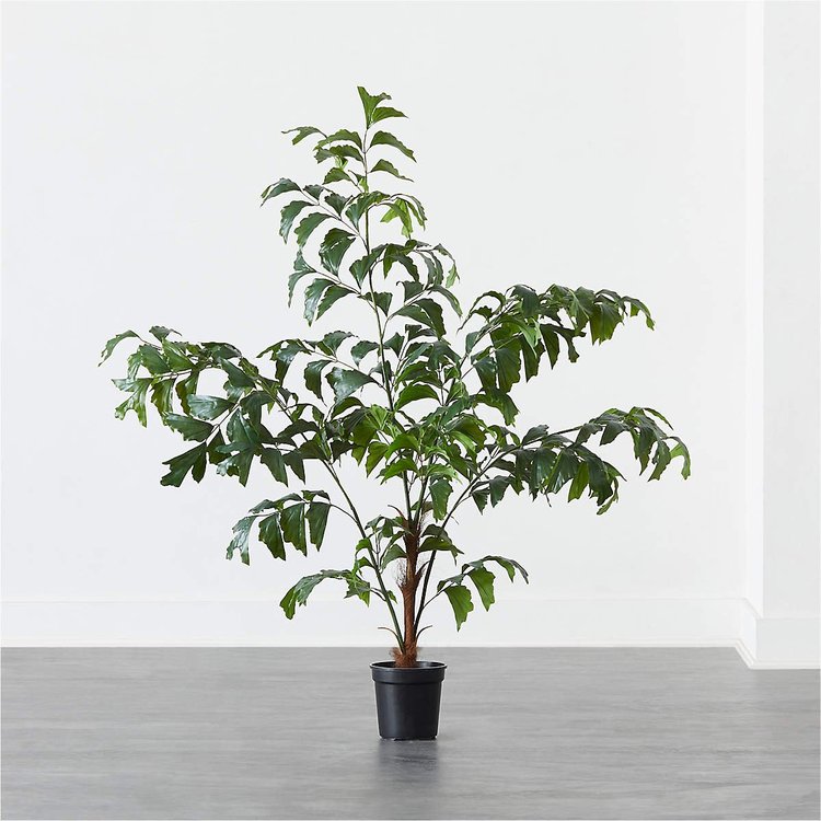 Best Faux Potted Trees for the Home — LIVEN DESIGN