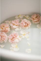 c9a19-320b25_9c7b8db6f06b45eb98bd260139e88592mv2.png