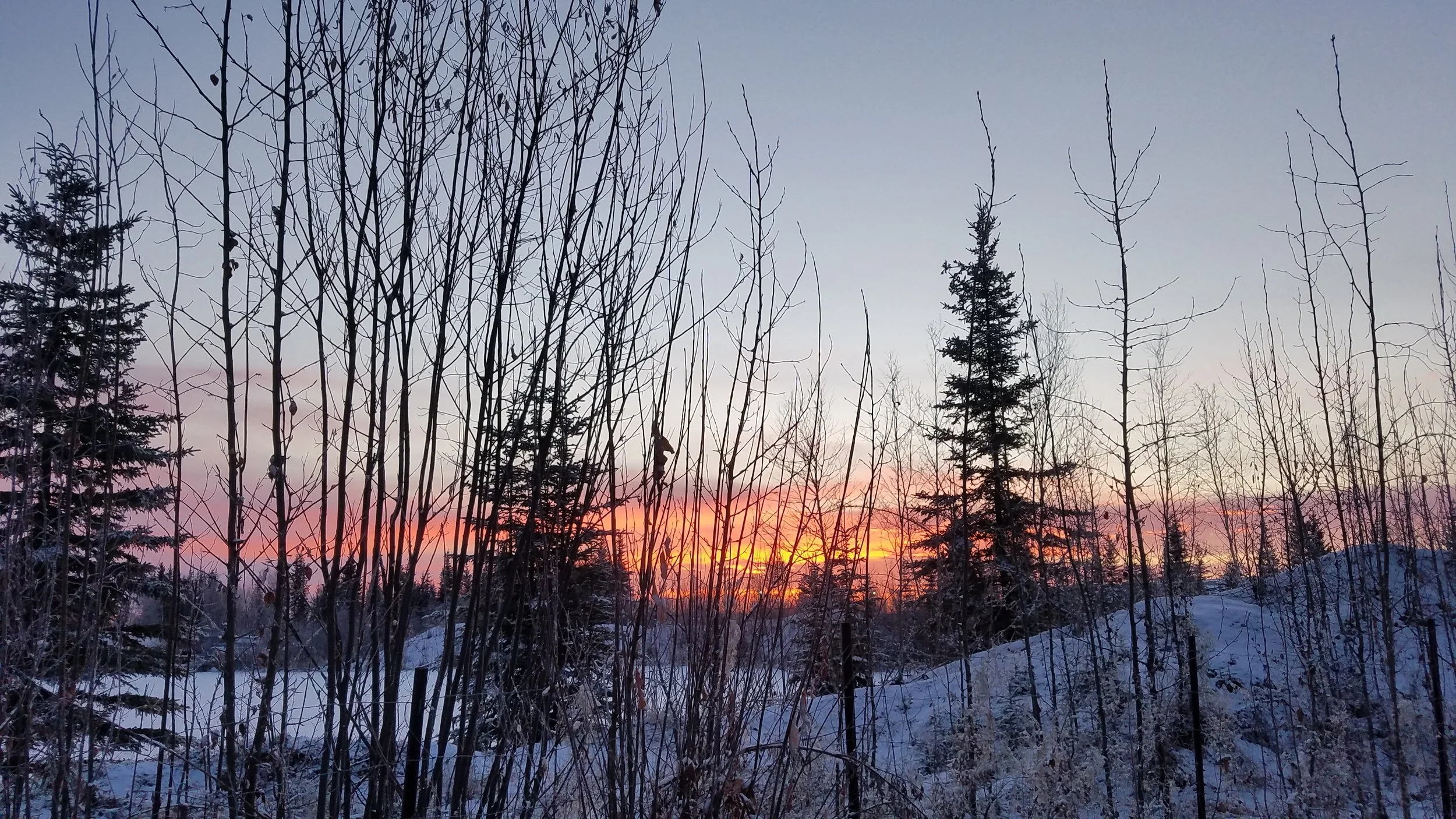 20211104_093735.jpg