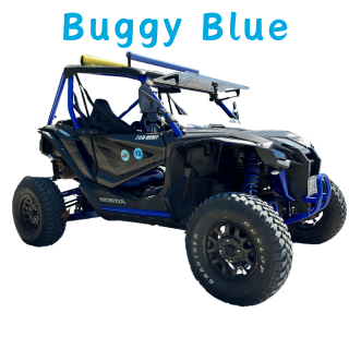 Buggy Blue