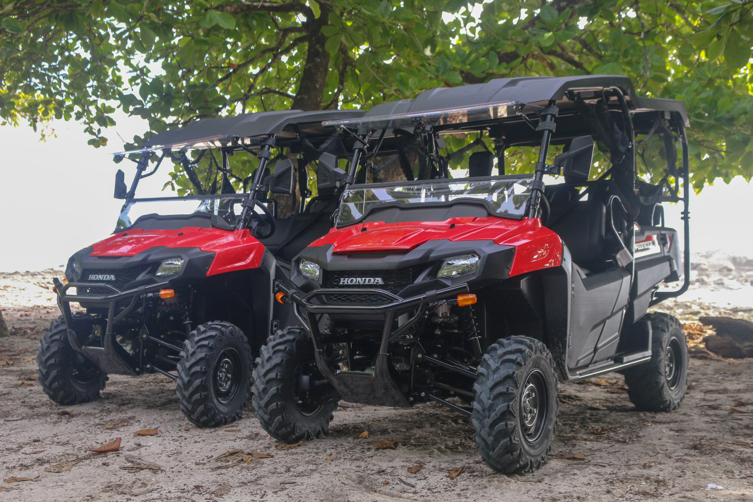 Bluezone Buggy OffRoad Adventures in Mal Pais and Santa Teresa