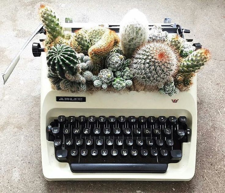 A display twist for bringing greenery indoors. Cacti in a typewriter..jpeg