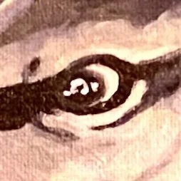 80FC664A-066E-46B5-957A-970CE9A3201A