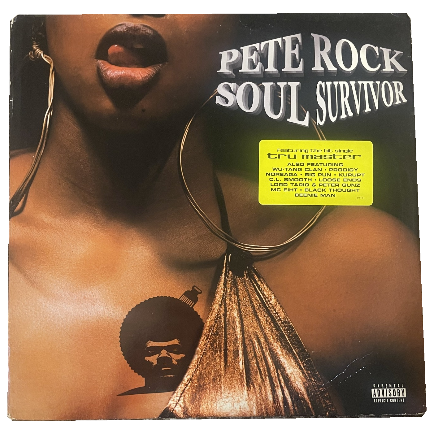 pete-rock-soul-survivor.png