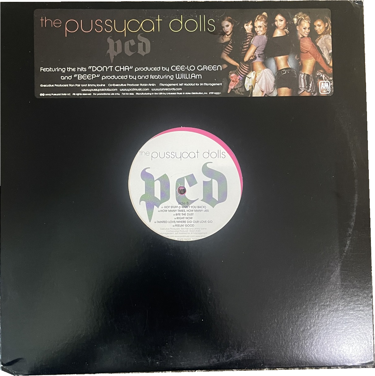 pussycat-dolls-pcd.png